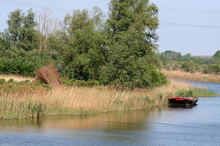 De Biesbosch Brabant