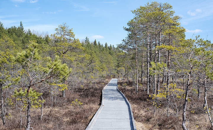 Soomaa Nationaal Park Estland