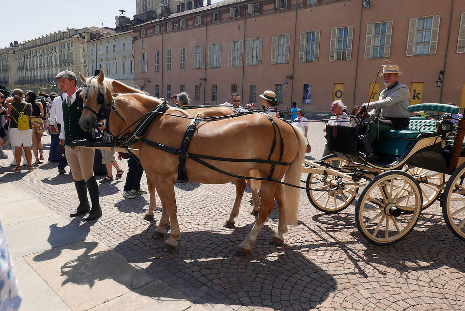 historische paardenkoetsparade Turijn