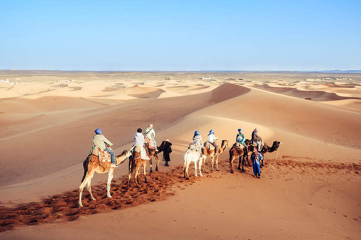kamelen trektocht Sahara Marokko