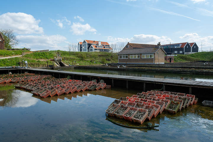 oesterkwekerij in Zeeland