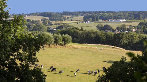 Limburg