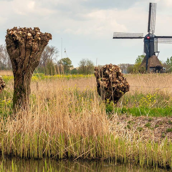 Vakantie Brabant: waar cultuur, natuur en gezelligheid samenkomen