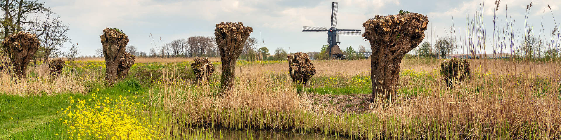 Dussen Noord Brabant