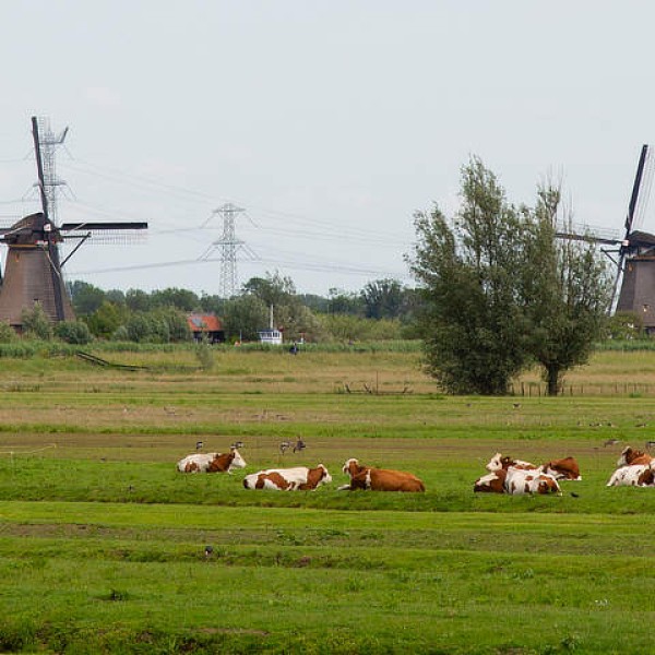 Vakantie in Nederland: ontdek de pracht in eigen Land