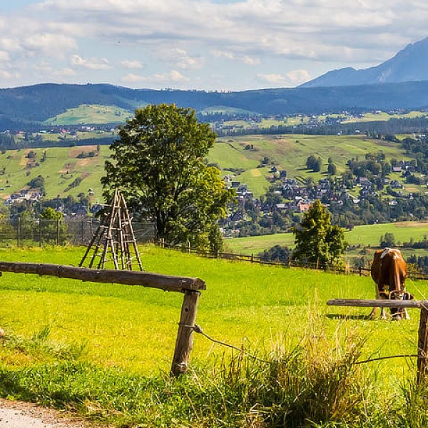 Ontdek de veelzijdigheid van een vakantie in Polen