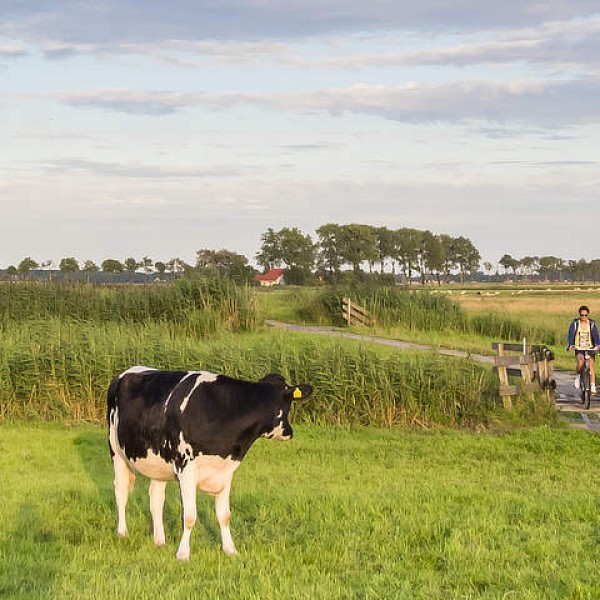 Provincie Groningen: een vakantie vol verrassingen in het noorden