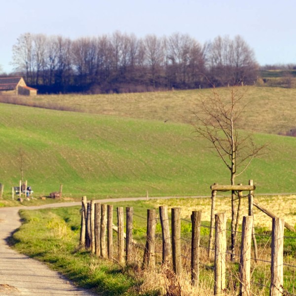 Vakantie in Limburg: van bourgondisch genieten tot natuurpracht!