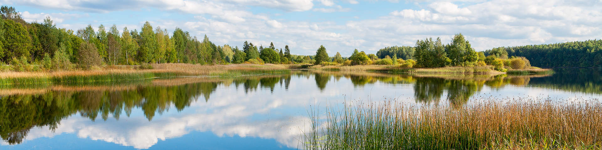 natuur in Estland