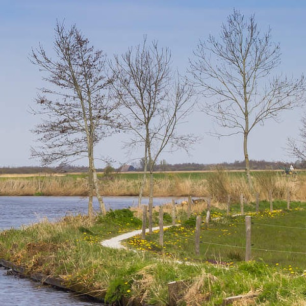 Vakantie in Friesland: geniet van pittoreske plaatsen en weidse landschappen