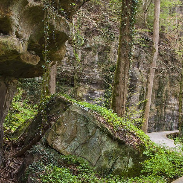 Vakantie in Luxemburg: klein land met grootse natuur en cultuur