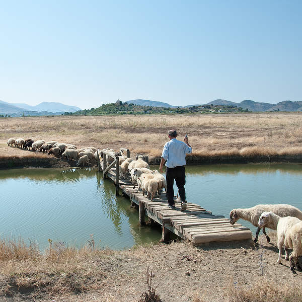 Vakantie in Albanië: een nog grotendeels onontdekte parel in Europa