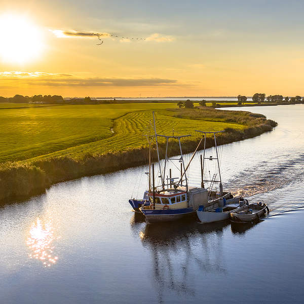Laat je verrassen door Overijssel: een vakantie vol avontuur en rust