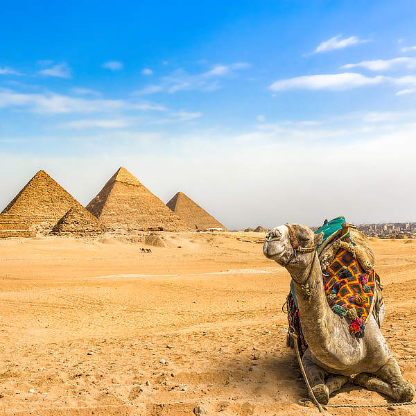 Vakantie in Egypte: veel zon en verrassend veelzijdig