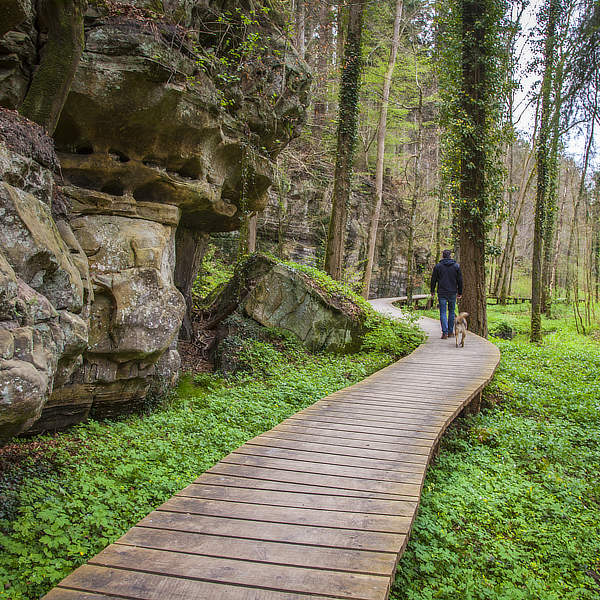 Vakantie in Luxemburg: klein land met grootse natuur en cultuur