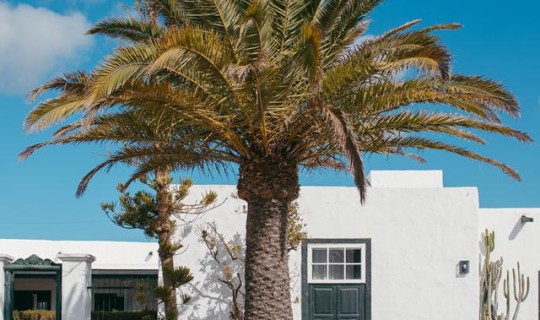 Spanje  Hotel Bodega el Grifo
