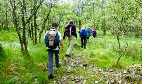 Ierland Wandelreis Ierland, 8 dagen