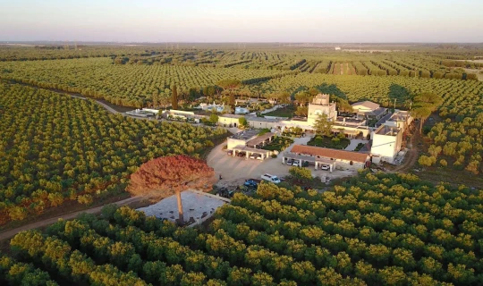 Italië Bari Agriturismo Tenuta Mazzetta