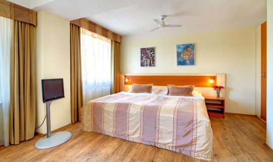 Tsjechië Praag Aida Hotel