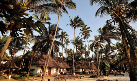 Tanzania  16 daagse safari Verrassend Tanzania & Zanzibar