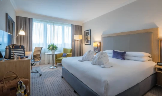 Ierland Dublin Clayton Hotel Burlington Road