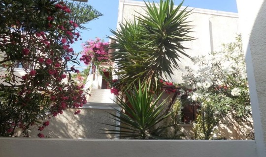 Griekenland  Dolphins Appartementen