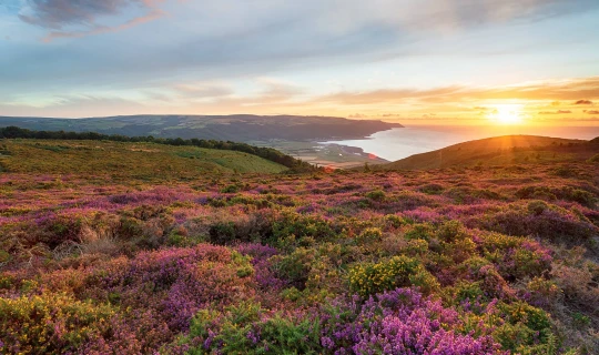 Engeland  Somerset and the Cotswolds