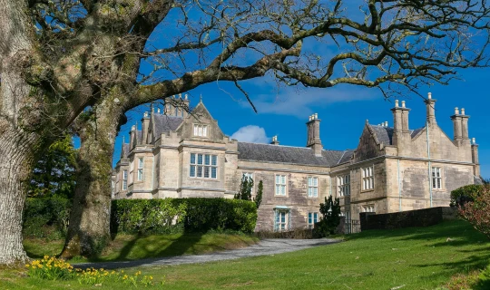 Ierland  Ontdek de County Kerry vanuit Tralee