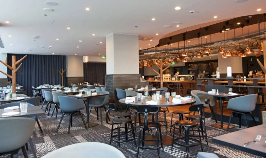 Finland Helsinki Hotel Scandic Park Helsinki