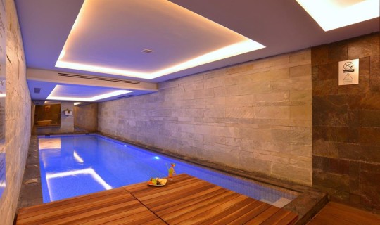 Turkije Istanbul Pera Tulip