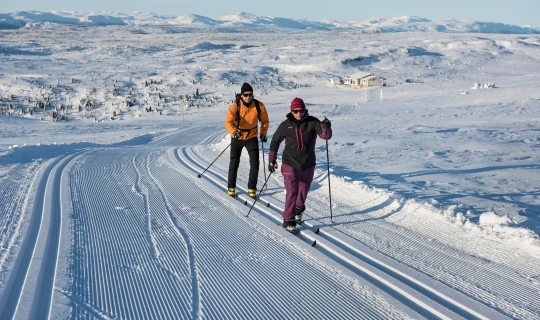 Noorwegen Oslo Ontdek het winteravontuur vanuit Skeikampen