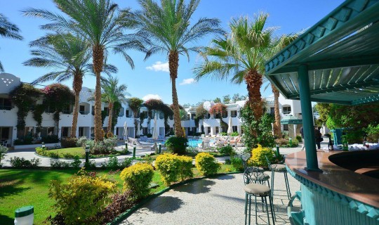 Egypte  Falcon Hills