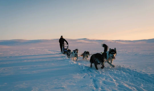 Noorwegen Oslo Ontdek het winteravontuur vanuit Geilo