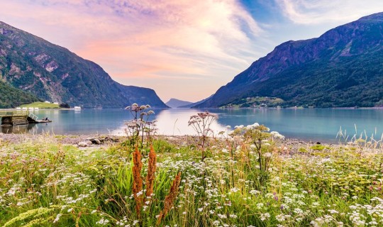 Nederland Amsterdam 8 dagen cruise Noord Europa Zuiderdam