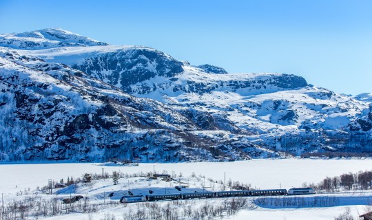 Noorwegen Oslo Treinreis Winters Noorwegen - Een spoor van fjorden en bergen