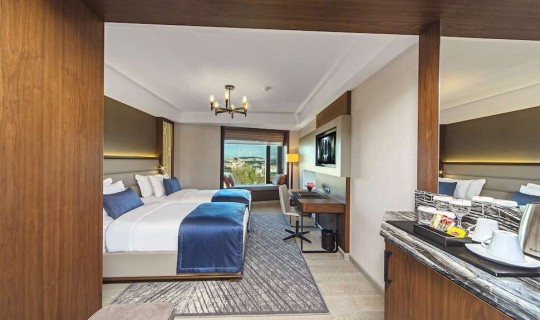 Turkije Istanbul Arts Hotel Istanbul