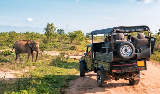 Sri Lanka  Familiereis op avontuur in Sri Lanka