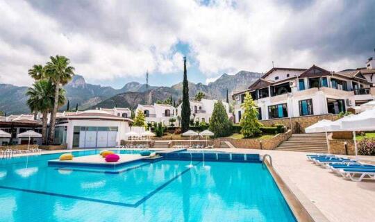 Cyprus  The Olive Tree Hotel